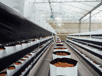 Railroad tracks in greenhouse