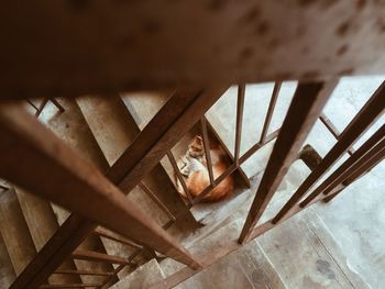 High angle view of cat sleeping on steps in building