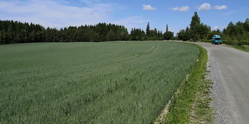 Panoramic view of road amidst trees on field against sky