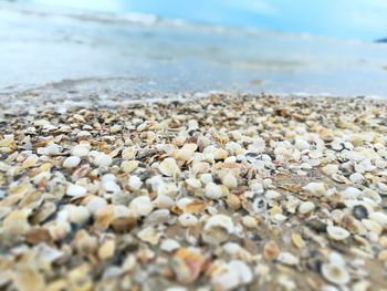 Close-up of stones on beach