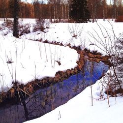 Scenic view of snow covered landscape