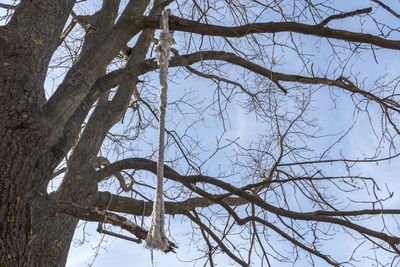Low angle view of bare tree against sky