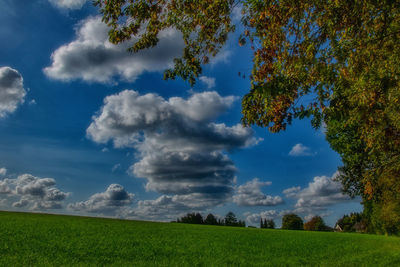Scenic view of field against sky