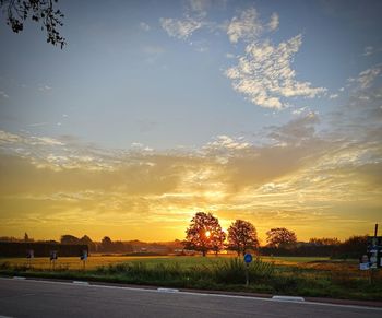 Road by trees on field against sky at sunset