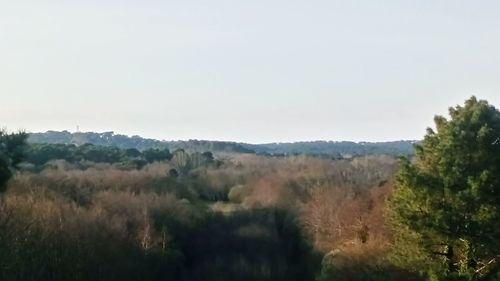 Scenic view of green landscape against clear sky