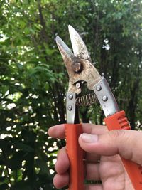 Cropped hand holding pliers against trees