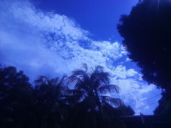 Low angle view of silhouette palm trees against blue sky