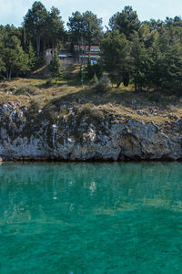 View of calm river in front of trees