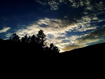 Low angle view of silhouette trees against sky during sunset