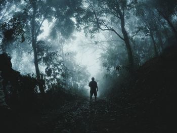 Silhouette man walking on mountain in forest