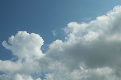 Low angle view of bird flying against sky