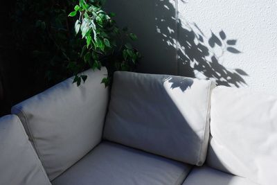 High angle view of sofa by plants