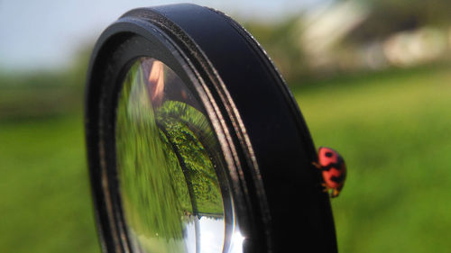 Close-up of grass against blurred background