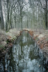 Bridge over river