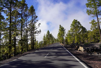 Empty road along trees