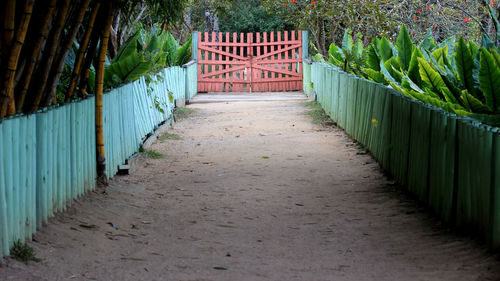 Footpath leading towards gate