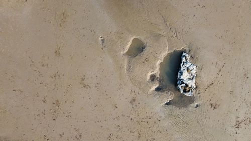 High angle view of hole on sand
