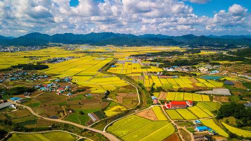 Scenic view of agricultural field against sky