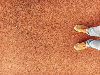 High angle view of legs and shoes