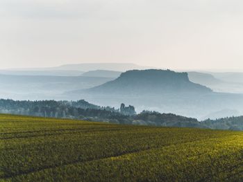 Scenic view of agricultural field against sky