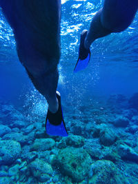 Close-up of a man's finned legs swimming in the ocean