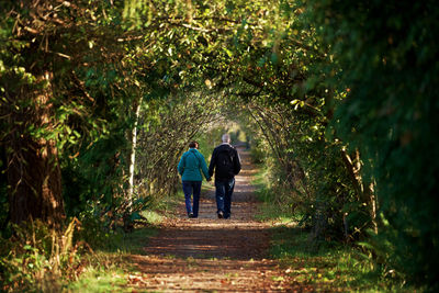 Rear view of couple holding hands amidst trees on walkway