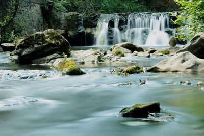 Scenic view of waterfall in forest