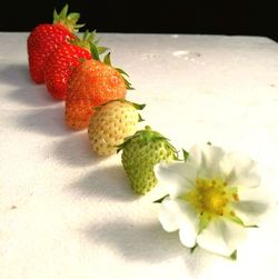 Close-up of fruits on table