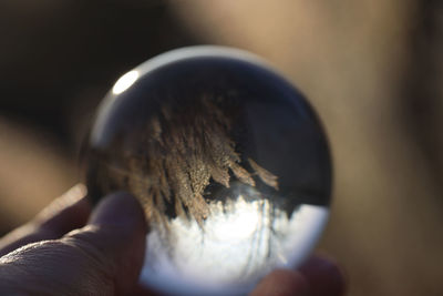 Close-up of hand holding crystal ball