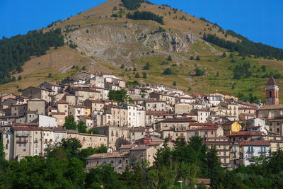 Buildings in town