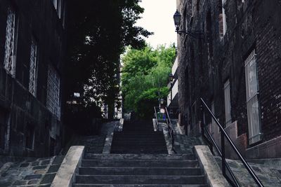 Stairs along trees and buildings