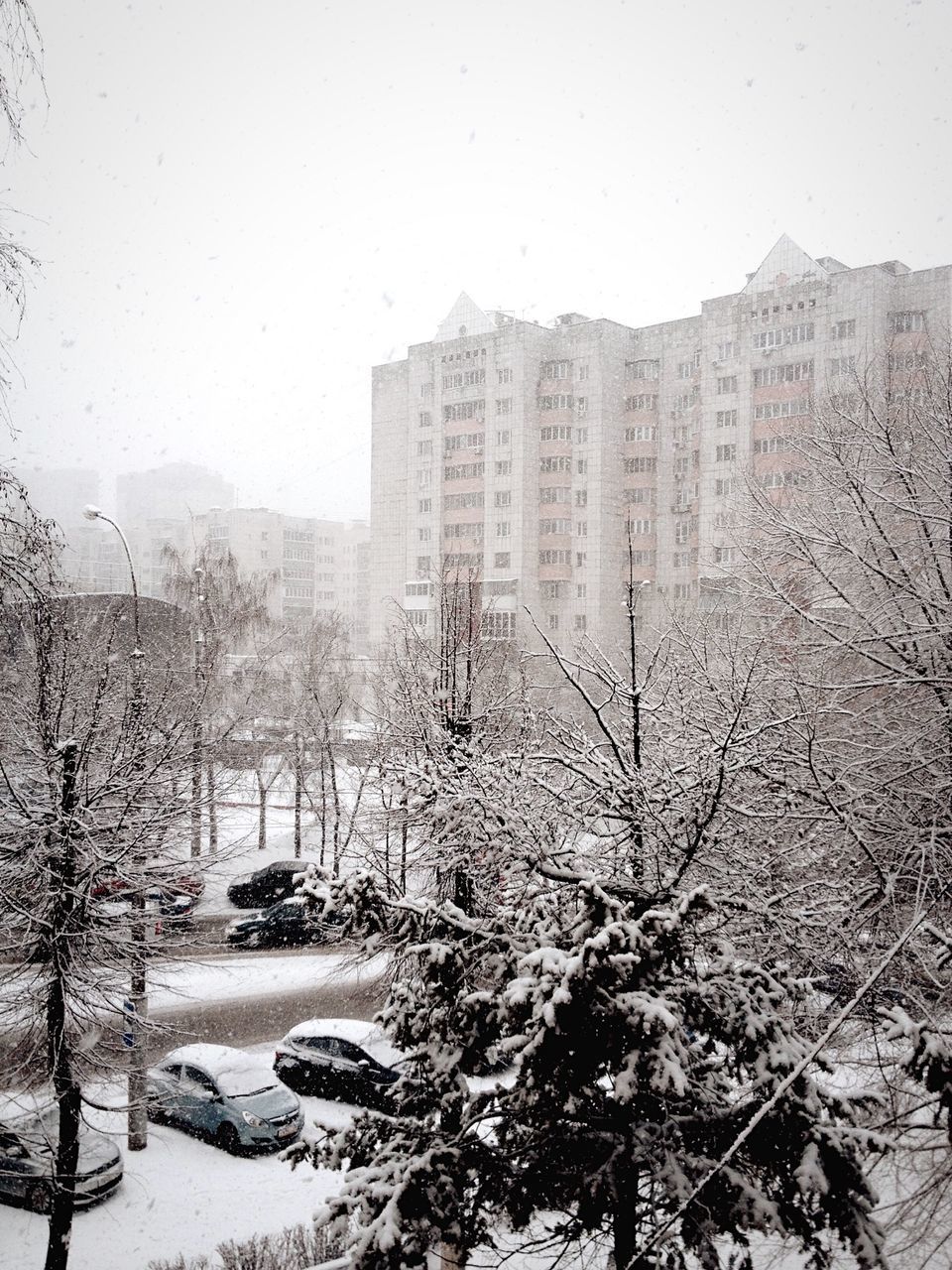 building exterior, architecture, built structure, winter, season, snow, cold temperature, weather, city, tree, window, residential structure, building, residential building, wet, clear sky, day, house, sky, bare tree