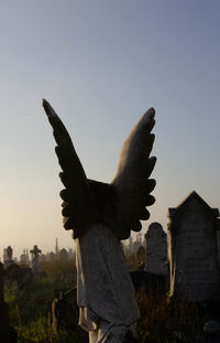 Close-up of bird against clear sky