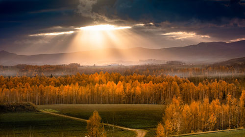 Scenic view of field against sky during sunset