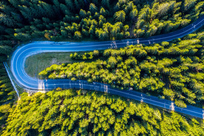 Aerial drone view of forest winding road