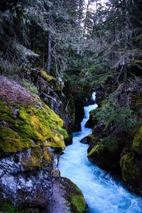 Stream flowing through rocks in forest