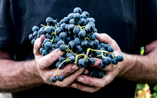 Cropped image of man holding fruits