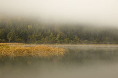 Scenic view of lake during foggy weather