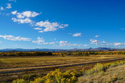 Scenic view of agricultural field against blue sky