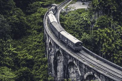 Railway bridge in forest