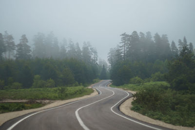 Empty road along trees