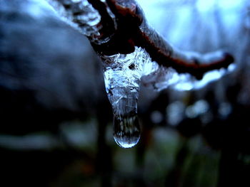 Close-up of frozen water