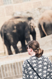 Rear view of woman standing against elephants at zoo