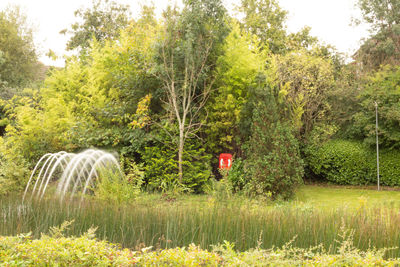 View of a field by the lake