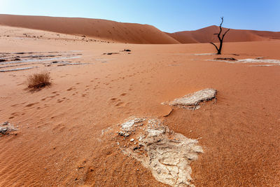 Sand dunes in desert