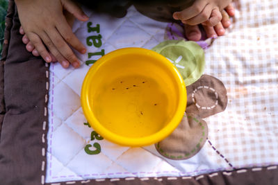 Low section of person with fishes in bowl