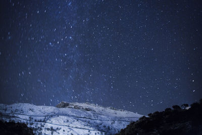 Low angle view of star field against sky at night