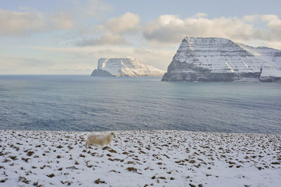 Scenic view of sea by snowcapped mountain against sky
