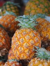 Close-up of pineapples