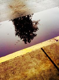 Reflection of trees in puddle